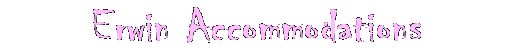 Erwin Accommodations