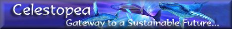 Celestopea Gateway To A Sustainable Future