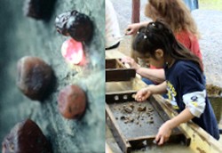 The Gem Mine in Blountville, Tennessee