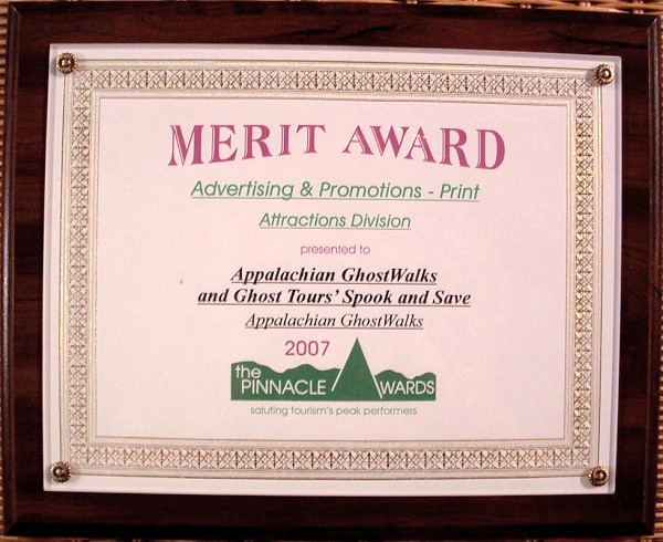 Pinnacle Award 2007