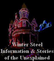 Winter Steel Paranormal Pages