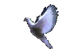 Jesus Coming Again Ministries White Dove