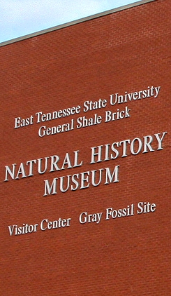 ETSU Natural History Museum