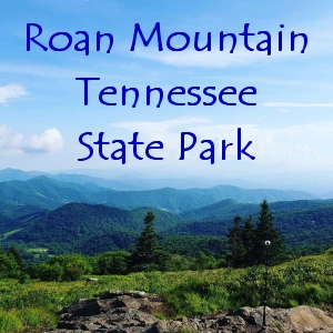 Roan Mountain Tennessee