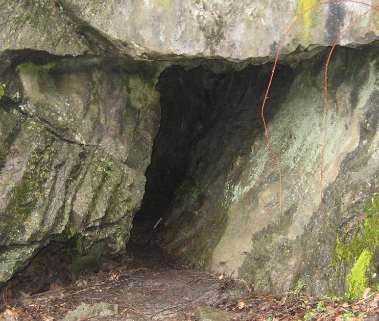 Tipton Haynes Historic Daniel Boone Cave