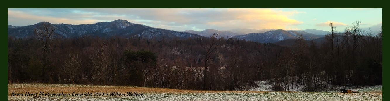 Brave Heart Photography